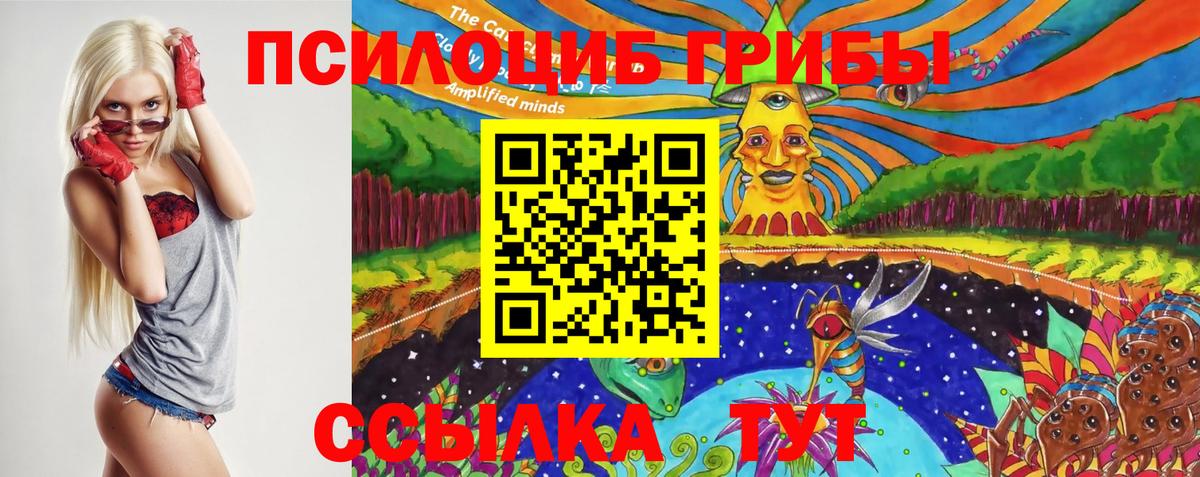 Гурьевск  Псилоцибиновые грибы Cubensis  Галлюциногенные грибы Cubensis  Вход с VPN 