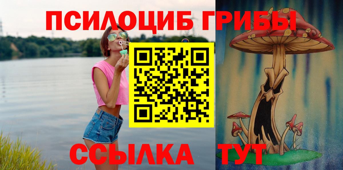 Галлюциногенные грибы мицелий Гурьевск