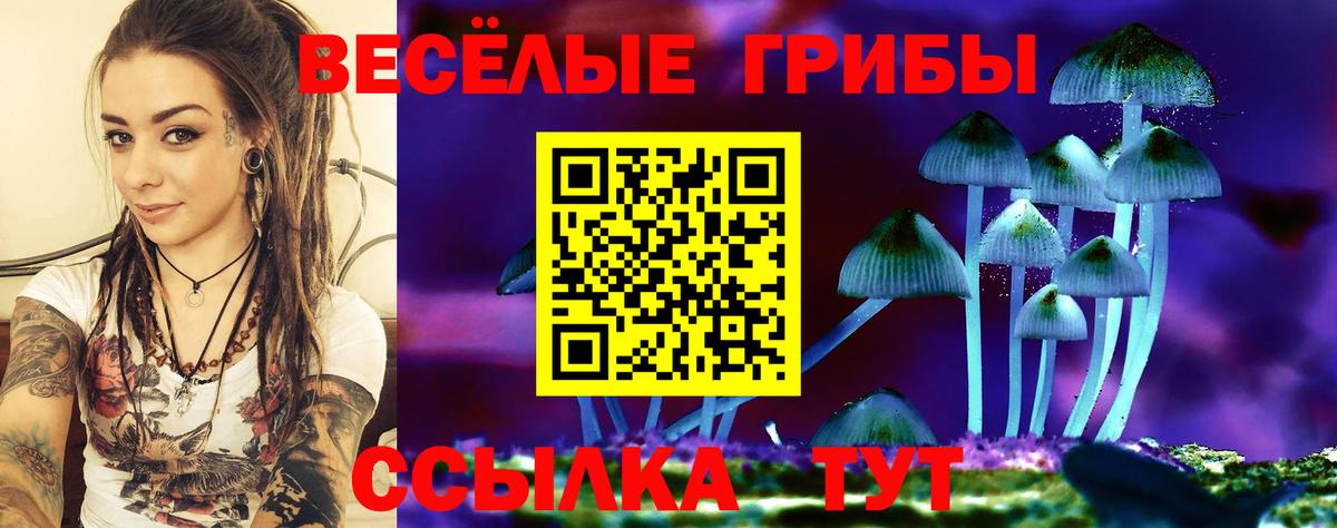 Кокаин  Гурьевск  NBOMe  Вход с VPN  Купить наркотики  МЕФ   Канабис  Гашиш  Гашиш  Вейп ТГК  МДМА 